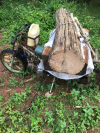 Tuần tra truy quét tình trạng vận chuyển lâm sản  trái pháp luật trên địa bàn huyện Đắk Mil