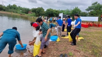 Tham gia thả cá tái tạo nguồn lợi thủy sản tự nhiên tỉnh Đắk Nông năm 2022