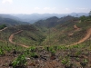 Kết quả trồng rừng năm 2019 của tỉnh Đắk Nông