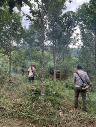 Về việc phê duyệt Kế hoạch giao rừng năm 2024 trên địa bàn huyện Krông Nô, huyện Tuy Đức và huyện Đắk Glong