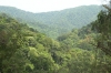 Đa dạng sinh học trong hệ sinh thái rừng nhiệt đới