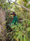 Tuần tra truy quét tình trạng phá rừng trái pháp luật trên địa bàn huyện Đắk Glong