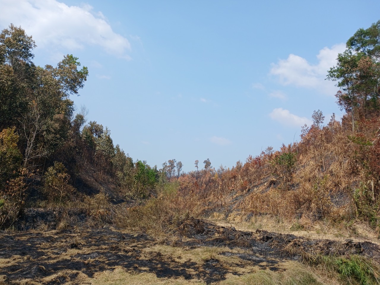 Tăng cường công tác quản lý bảo vệ rừng và phòng cháy, chữa cháy rừng trên địa bàn tỉnh Đắk Nông mùa khô 2023-2024